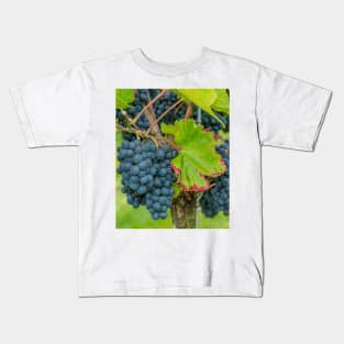 Vineyard, Kaiserstuhl, South-West Germany Kids T-Shirt